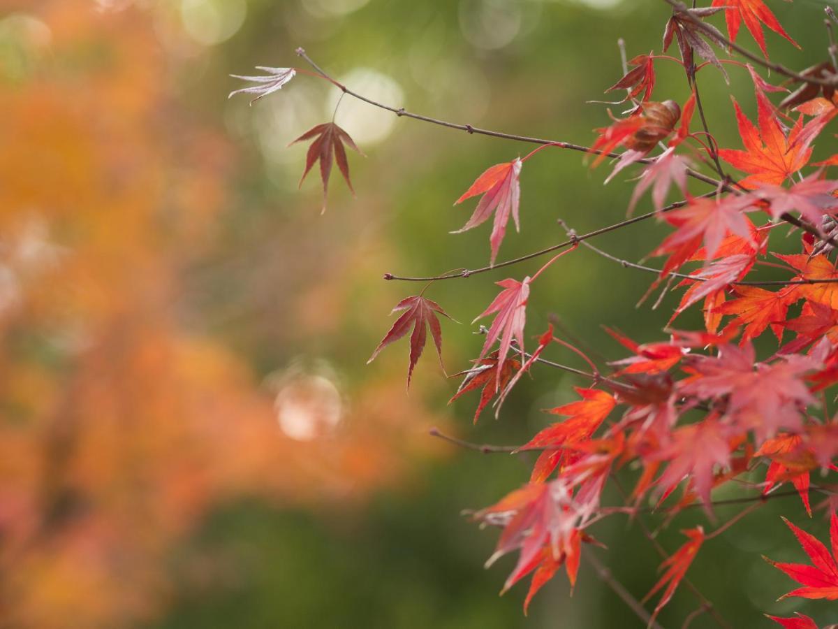 Ryokan Genhouin Кіото Екстер'єр фото